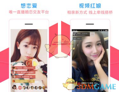 赵朔公布小猫悟空之死系误食啮齿类动物，怎样从生物学角度解读？